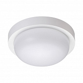 https://img.divine-light.ru/1/088/001088230_800_800.jpg