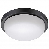 https://img.divine-light.ru/1/088/001088248_800_800.jpg