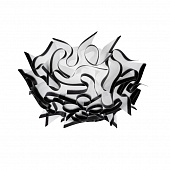 https://img.divine-light.ru/1/683/001683003_800_800.jpg