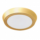 https://img.divine-light.ru/1/247/001247536_800_800.jpg