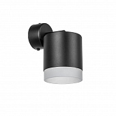 https://img.divine-light.ru/1/159/001159822_800_800.jpg