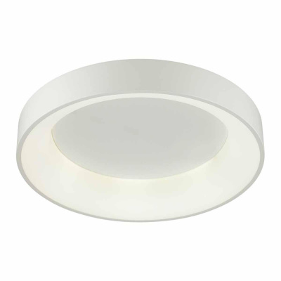 Потолочный светодиодный светильник Odeon Light L-vision Sole 4066/40CL