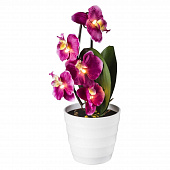 Fri, 25 Dec 2020 16:16:17 GMT