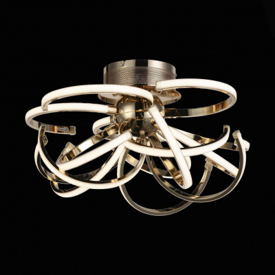 Потолочный светодиодный светильник ST Luce SL922.202.15