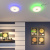 Потолочный светодиодный светильник Sonex Vasta led Roki muzcolor 4629/EL