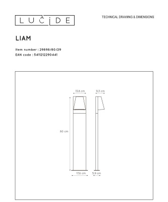 Уличный светильник Lucide Liam 29898/80/29