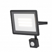 https://img.divine-light.ru/1/031/001031272_800_800.jpg