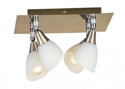 Спот Globo Frank 5451-4
