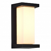 https://img.divine-light.ru/1/469/001469342_800_800.jpg