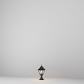 https://img.divine-light.ru/1/421/001421734_800_800.jpg