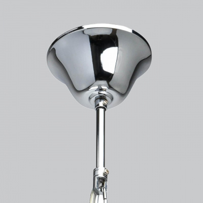 Подвесная люстра MW-Light Бриз 464018506