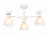https://img.divine-light.ru/1/999/001007500_800_800.jpg