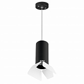 https://img.divine-light.ru/0/644/000644063_800_800.jpg