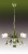Wed, 02 Jun 2021 03:04:07 GMT