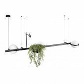 https://vokruglamp.ru/upload/iblock/7db/sh0k5wh2p74gby68rl8zrmhl19wehc84/podvesnoy_svetilnik_loft_it_jardin_10121_c_1.jpeg