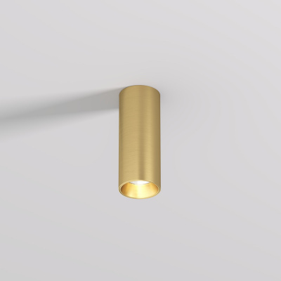 Накладной светильник Denkirs DK2615-SB Накладной светильник Denkirs DK2615-SB