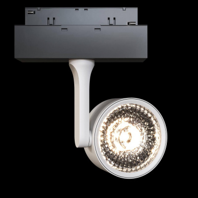 Трековый светодиодный светильник для магнитного шинопровода Maytoni Track lamps TR024-2-10W3K