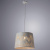 https://vokruglamp.ru/upload/iblock/21a/podvesnoy_svetilnik_arte_lamp_celesta_a2700sp_1wh_1.jpeg