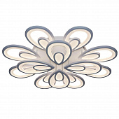 Fri, 12 Feb 2021 18:16:36 GMT