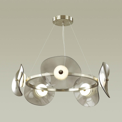Подвесная светодиодная люстра Odeon Light L-vision Fluent 4858/48L