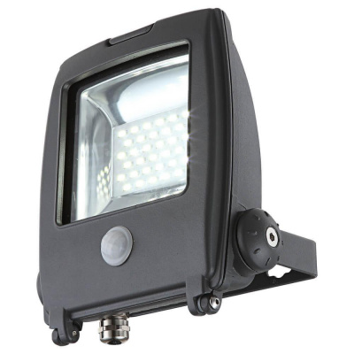 Прожектор светодиодный с датчиком движения Globo Projecteur I 20W 34219S