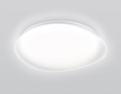 Накладной светильник Ambrella Light FZ1610