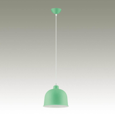 Подвесной светильник Lumion Rory 3657/1