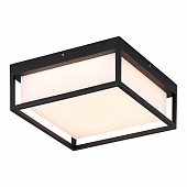 https://img.divine-light.ru/1/469/001469256_800_800.jpg