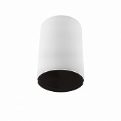 https://img.divine-light.ru/0/427/000427701_800_800.jpg