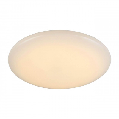 Потолочный светодиодный светильник ST Luce Inse SL875.062.01