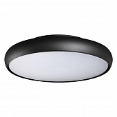 https://img.divine-light.ru/1/242/001242162_800_800.jpg