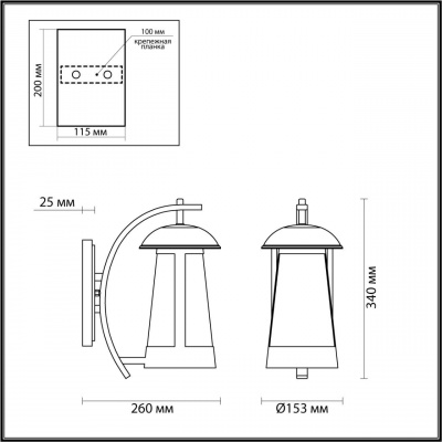 Уличный настенный светильник Odeon Light Nature Kalpi 4837/1W