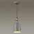 https://vokruglamp.ru/upload/iblock/9e5/mbgsg2ugspew839h8bchdtd1s2pbc6vb/podvesnoy_svetilnik_odeon_light_pendant_bolli_4086_1_1.jpeg