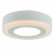 Потолочный светодиодный светильник Arte Lamp Antares A7806PL-2WH