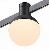 https://img.divine-light.ru/0/993/000993000_800_800.jpg
