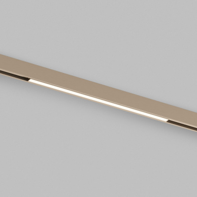 Светильник на шине Denkirs DK4751-CP