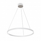 https://img.divine-light.ru/0/932/000932560_800_800.jpg