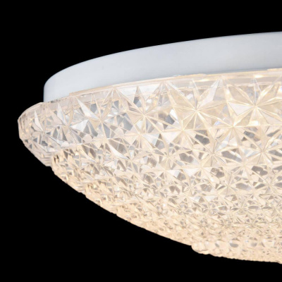 Потолочный светодиодный светильник Freya Alicia FR6310-CL01-12W-TR