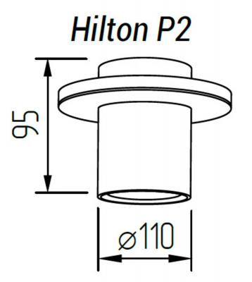 Потолочный светильник TopDecor Hilton P2 12