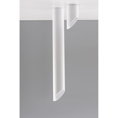 Потолочный светильник Sollux Penne SL.0106