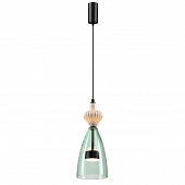 https://vokruglamp.ru/upload/iblock/56e/242130b6gecxdeqc053gjqsjot0ihwqx/podvesnoy_svetilnik_odeon_light_palleta_5046_12lc_1.jpeg