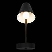 https://vokruglamp.ru/upload/iblock/458/al110ezd3vje1vo8dxv5ozgokevnz9wm/bra_loft_it_shelf_10216_1w_black_1.jpeg