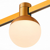 https://img.divine-light.ru/0/993/000993012_800_800.jpg