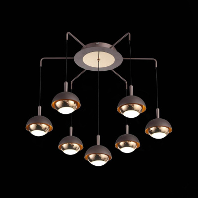 Подвесная светодиодная люстра ST Luce Entolla SL1602.323.07