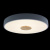https://vokruglamp.ru/upload/iblock/5cf/potolochnyy_svetodiodnyy_svetilnik_loft_it_axel_10003_24_grey_5.jpeg
