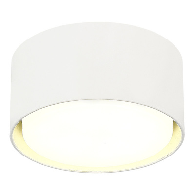 Накладной светильник ST-Luce ST164.502.01