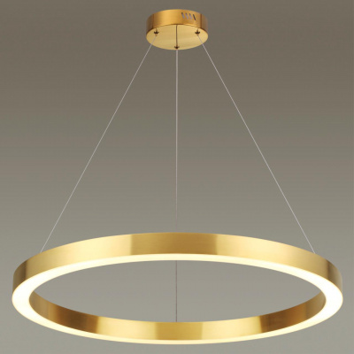Подвесной светодиодный светильник Odeon Light L-vision Brizzi 3885/45LG