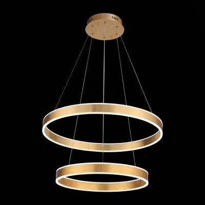 Подвесная светодиодная люстра ST Luce Onze SL944.203.02