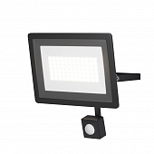 https://img.divine-light.ru/1/031/001031048_800_800.jpg