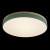 https://vokruglamp.ru/upload/iblock/1a2/potolochnyy_svetodiodnyy_svetilnik_loft_it_axel_10001_36_green_2.jpeg